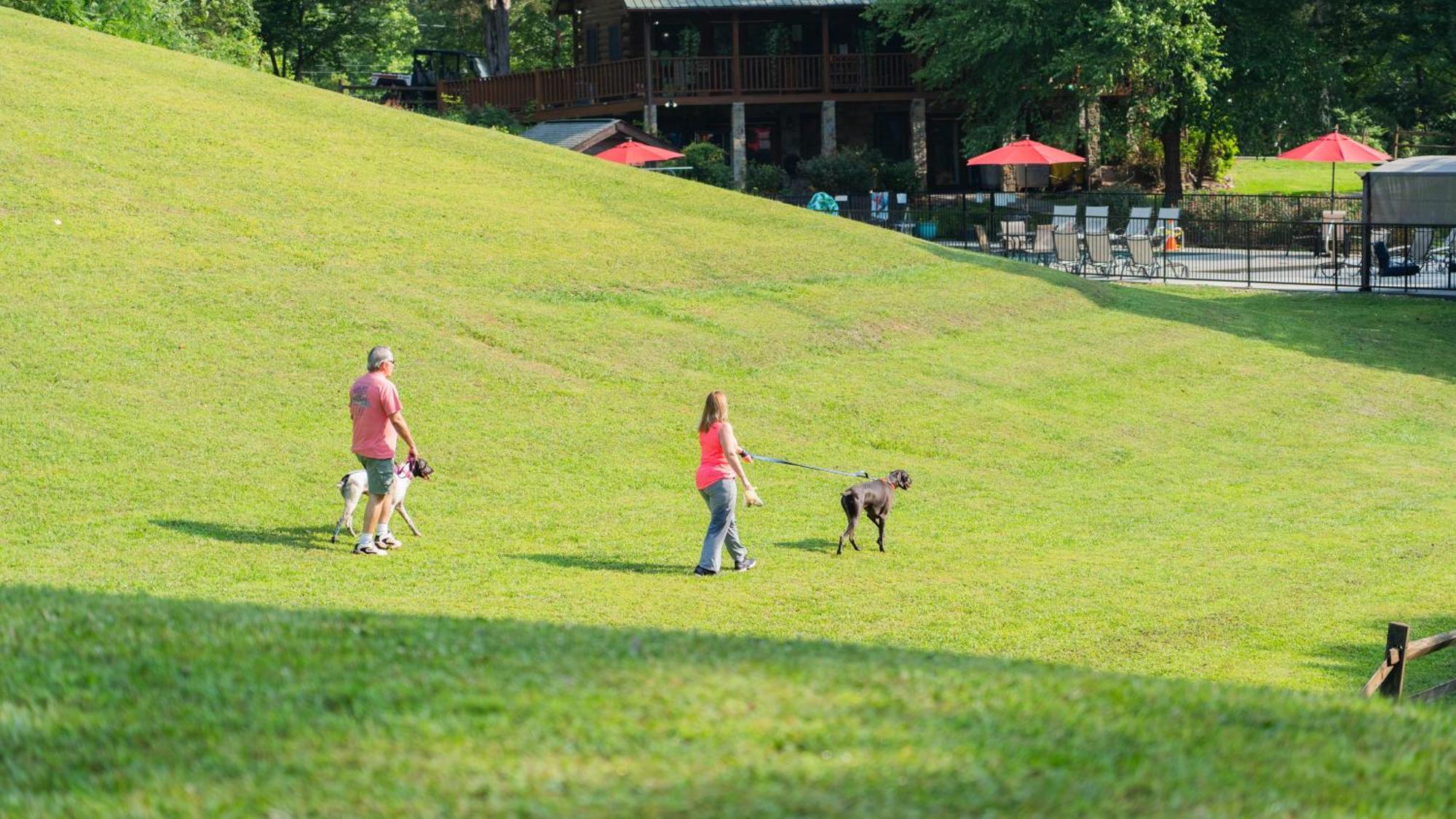 Stargazer Villa Sevierville Luaran gambar